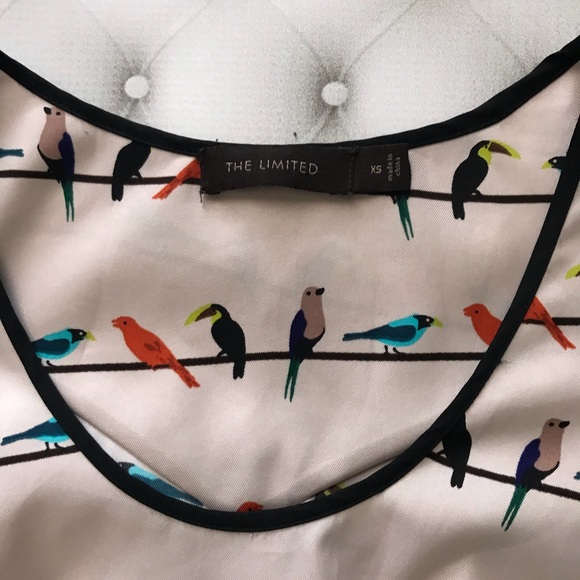 The Limited - Birds On A Wire Scoopneck Tank XS - Picture 4 of 7